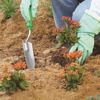FJ-1003 PA TRANSPLANTORA ESTREITA - TRAPP
